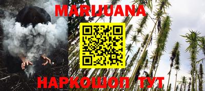 мдпв Новозыбков