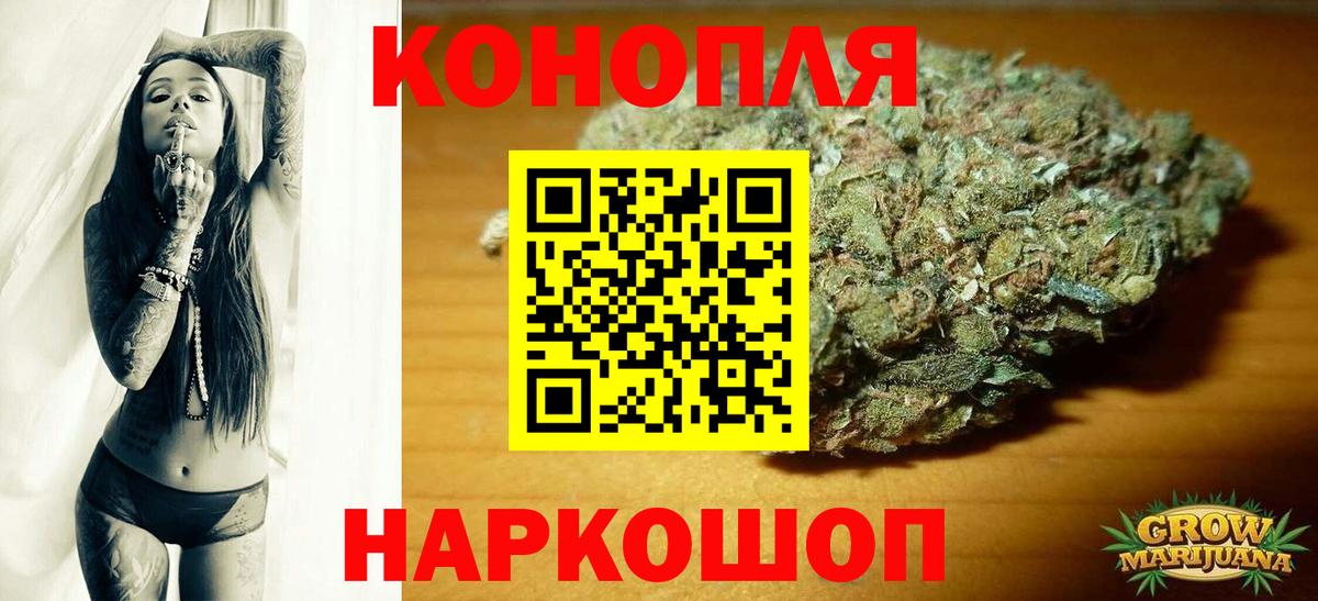 Бошки Шишки гибрид Сосновый Бор
